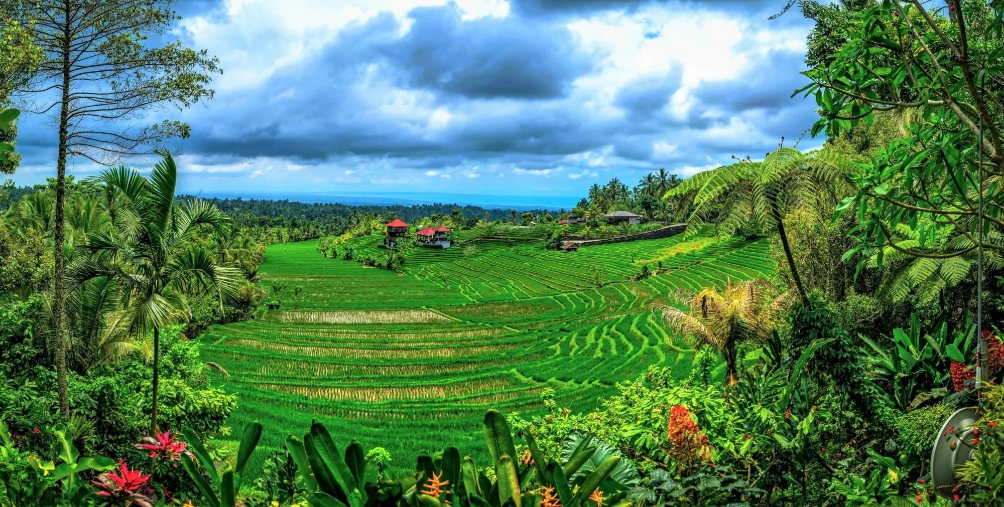 Bali